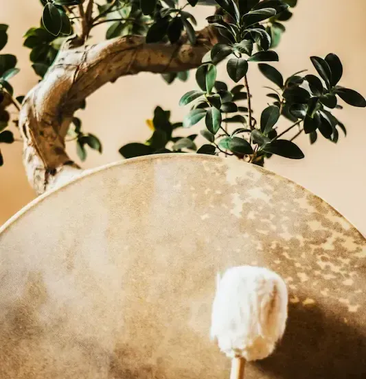 Ein altes hölzerne Trommel mit einem Stock und einem Baum im Hintergrund.