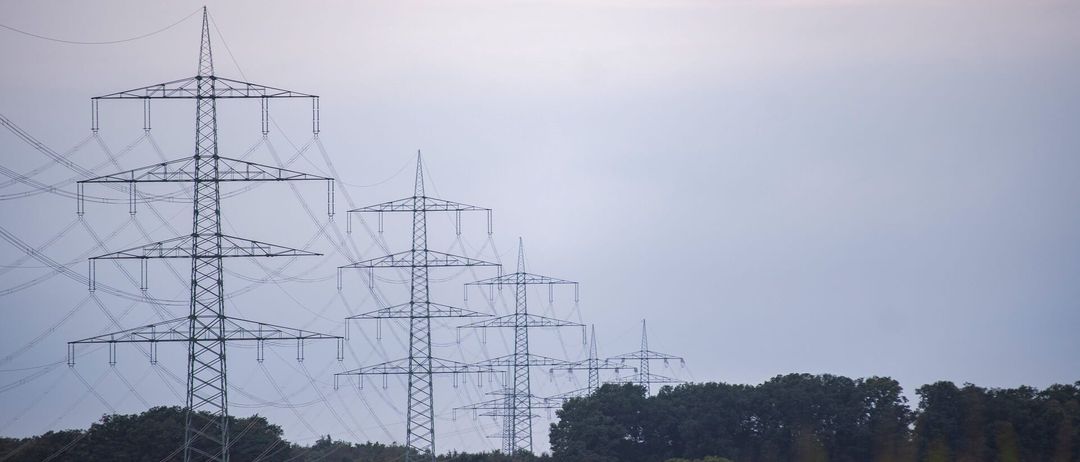 Eine Reihe hoher Metalltürme mit sich kreuzenden Kabeln steht gegen einen bewölkten Himmel. Sie sind vor einem Hintergrund dichter Vegetation angeordnet.