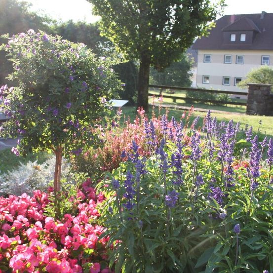 Im Vordergrund ist ein Garten mit einer Vielzahl farbenfroher Blumen zu sehen, darunter rosa, lila und weiß. Im Hintergrund befinden sich ein Baum und ein Haus.