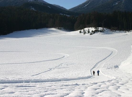 Zwei Personen gehen in einer verschneiten Landschaft mit Kiefern und Bergen im Hintergrund.