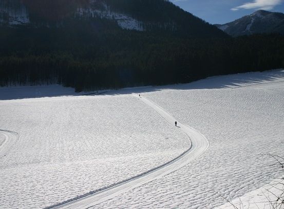 Eine verschneite Landschaft mit zwei Personen, die einen Hang hinunterskierend sind, umgeben von Bäumen und Bergen unter einem blauen Himmel.
