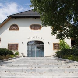 Ein weißes Gebäude namens Goczsadel mit bogenförmigen Fenstern, einer Glastür und Stufen, die zum Eingang führen, umgeben von Grün.