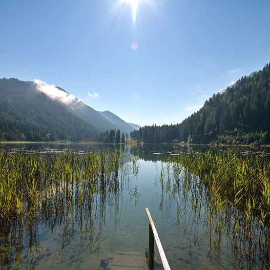 Ein ruhiger See umgeben von hohem Gras und dichten grünen Bäumen unter einem klaren blauen Himmel.