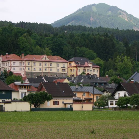 Ein malerischer Blick auf ein Dorf mit vielen Häusern, einem großen Gebäude und einem Berg im Hintergrund.