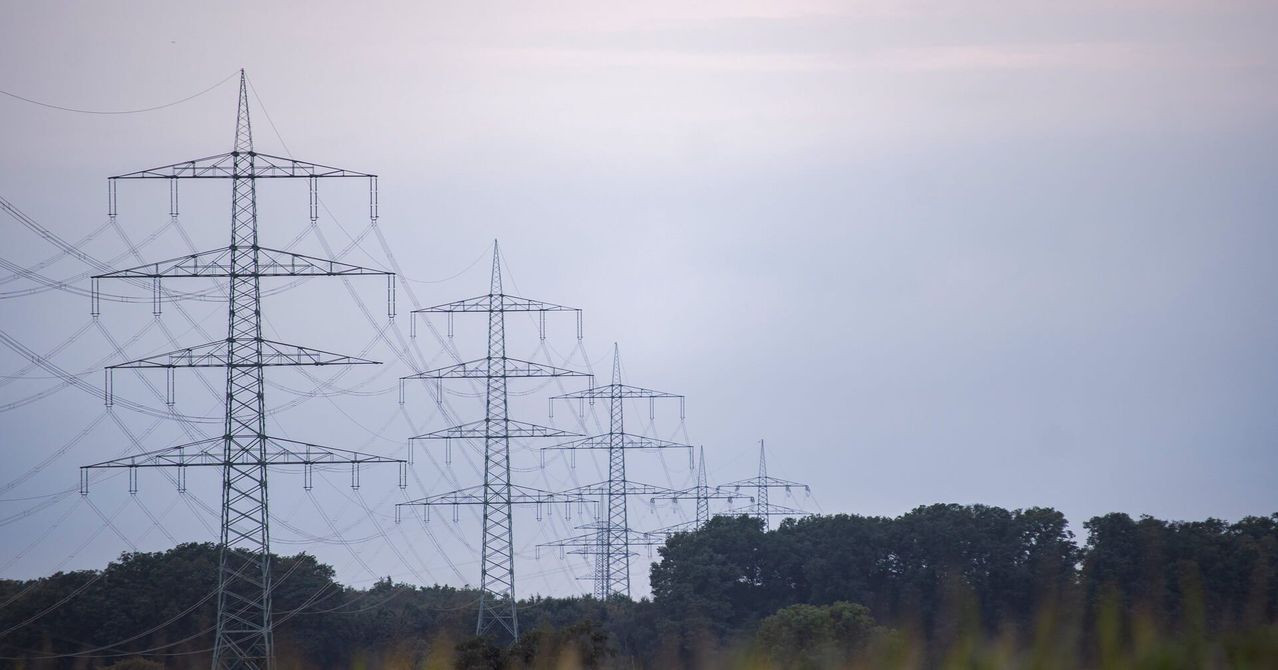 Eine Reihe hoher Metall-Übertragungsmasten steht gegen einen dunstigen Himmel, mit dichten Bäumen im Vordergrund.