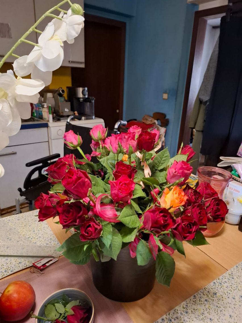 Bild enthält, Flower, Flower Arrangement, Flower Bouquet, Petal, Rose, Potted Plant, Tabletop