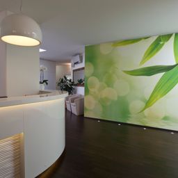 An interior space with a reception desk and a large green leaf wallpaper. There are two couches and a mirror on the wall. A flower vase is on the left side, and a ceiling lamp is above the desk.