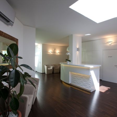 An empty reception area with a white desk, potted plant, and glass wall. The room has white walls, wooden flooring, and a skylight.