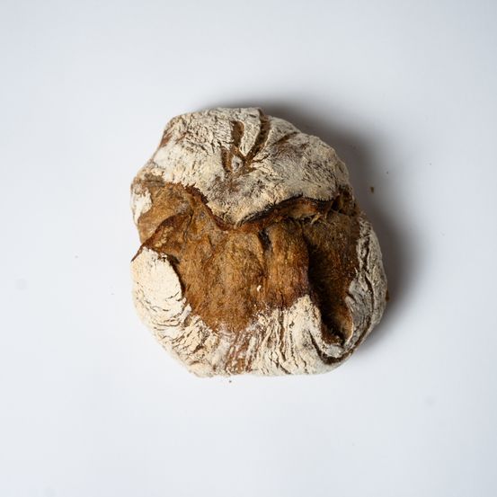 Ein runder Laib Brot mit einer goldbraunen Kruste und einem rustikalen Aussehen, leicht abgeflacht auf einer Seite, auf einem schlichten weißen Hintergrund.