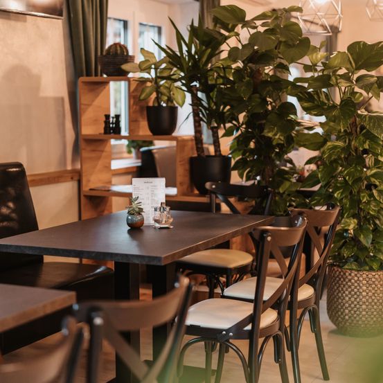 Ein gemütliches Restaurant-Interieur mit einem Tisch, umgeben von Holzstühlen. Topfpflanzen stehen im Raum. Ein Holzregal hält einen Kaktus und andere Gegenstände.