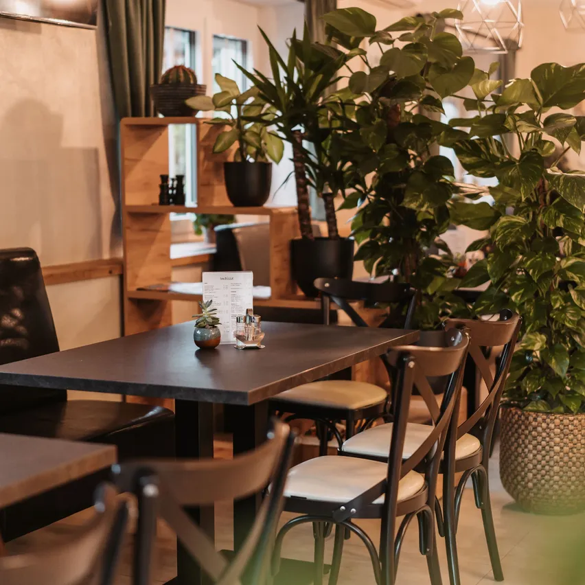 Ein gemütliches Restaurant-Interieur mit einem Tisch, umgeben von Holzstühlen. Topfpflanzen stehen im Raum. Ein Holzregal hält einen Kaktus und andere Gegenstände.