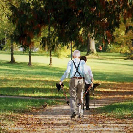 Bild enthält, Person, Walking, Grass, Park, Shoe, Tree, Vegetation, Belt, Grove, Canine