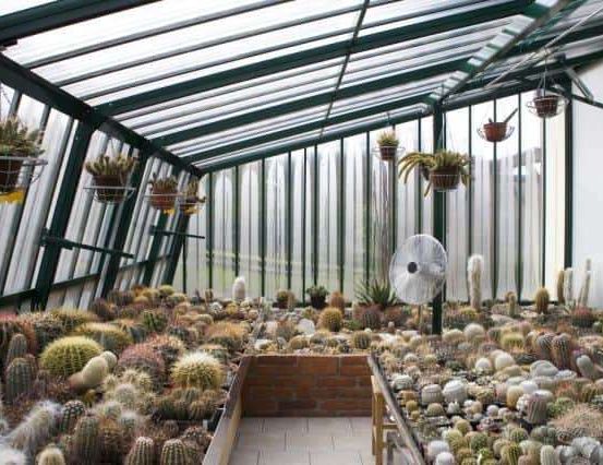 Bild enthält, Garden, Nature, Outdoors, Gardening, Plant, Greenhouse