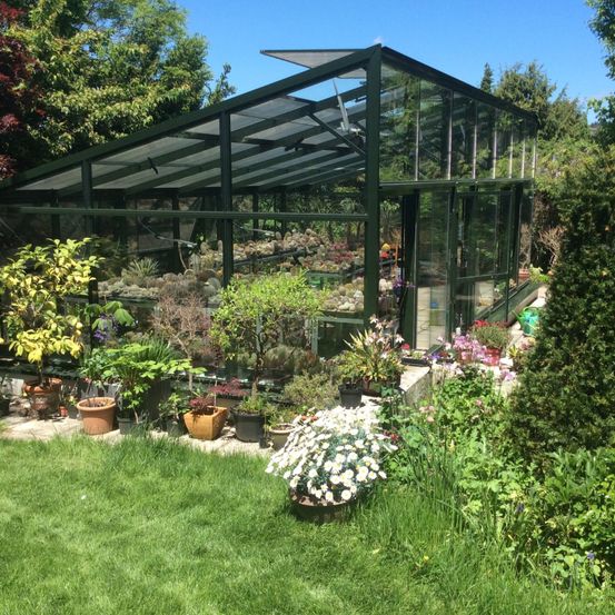 Bild enthält, Garden, Nature, Outdoors, Potted Plant, Planter, Backyard, Gardening, Vegetation, Grass, Grove