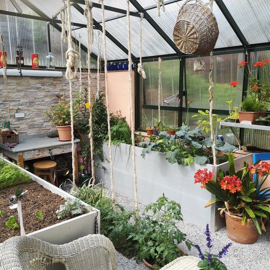 Bild enthält, Garden, Nature, Outdoors, Gardening, Plant, Potted Plant, Interior Design, Planter, Backyard, Chair