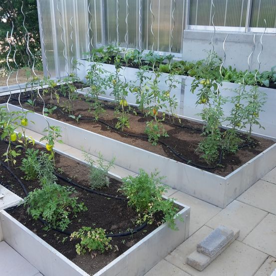 Bild enthält, Garden, Nature, Outdoors, Potted Plant, Jar, Planter, Pottery, Vase, Gardening, Backyard