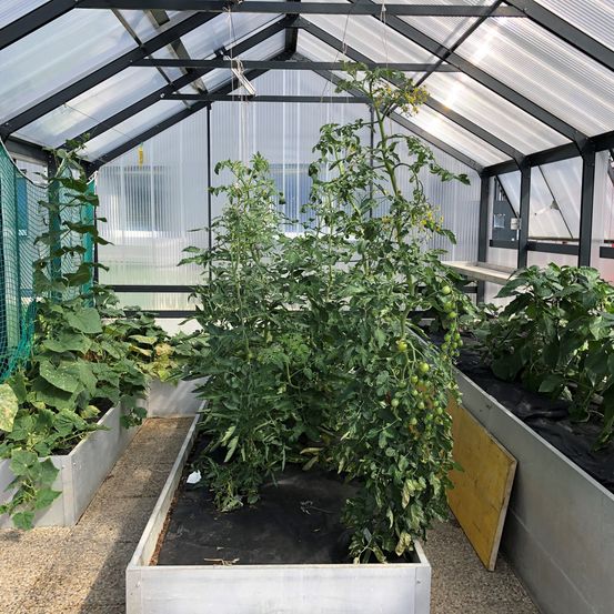 Bild enthält, Garden, Nature, Outdoors, Gardening, Plant, Greenhouse, Indoors, Interior Design