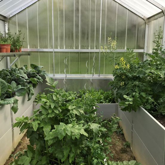 Bild enthält, Garden, Nature, Outdoors, Gardening, Plant, Greenhouse, Indoors, Interior Design, Backyard, Yard