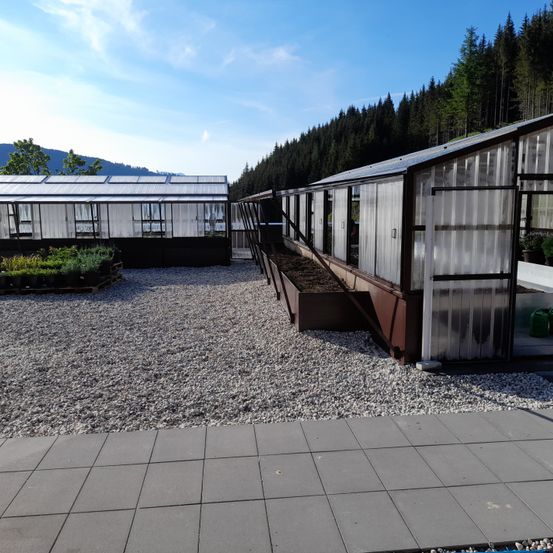 Bild enthält, Path, Walkway, Floor, Flooring, Gravel, Road, Flagstone, Garden, Outdoors, Building