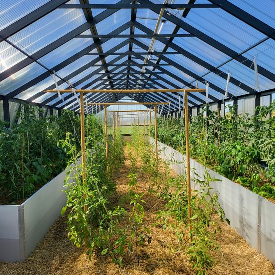 Bild enthält, Garden, Nature, Outdoors, Gardening, Greenhouse, Architecture, Building, Plant, Indoors, Interior Design