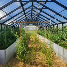 Bild enthält, Garden, Nature, Outdoors, Gardening, Greenhouse, Architecture, Building, Plant, Indoors, Interior Design