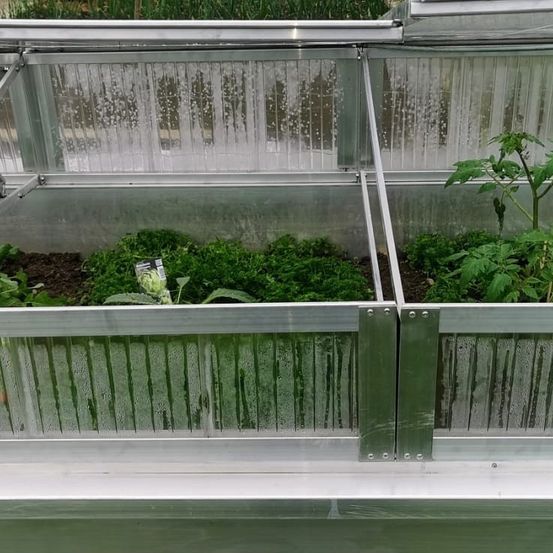 Bild enthält, Garden, Nature, Outdoors, Gardening, Plant, Potted Plant, Yard, Backyard