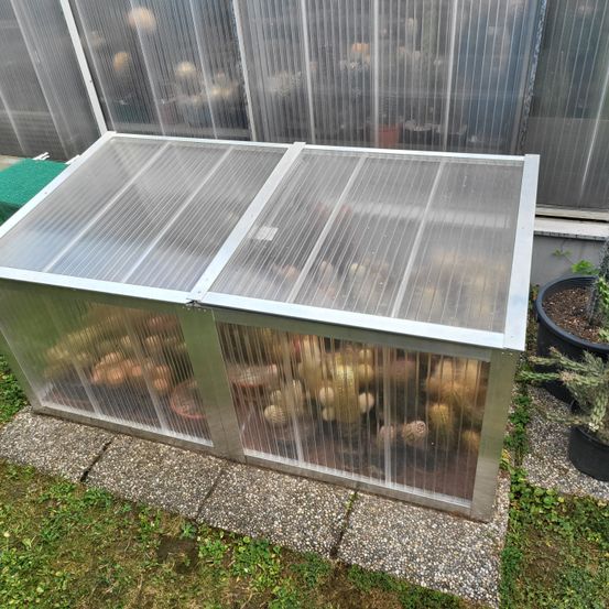 Bild enthält, Garden, Nature, Outdoors, Gardening, Plant, Potted Plant, Backyard, Yard