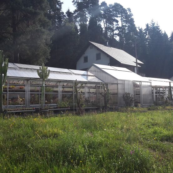 Bild enthält, Garden, Nature, Outdoors, Gardening, Architecture, Building, Shelter, Greenhouse, Countryside