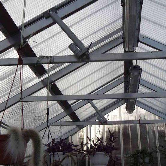 Bild enthält, Garden, Nature, Outdoors, Gardening, Plant, Potted Plant, Window, Greenhouse