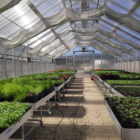 Bild enthält, Garden, Gardening, Nature, Outdoors, Greenhouse, Architecture, Building, Path, Walkway