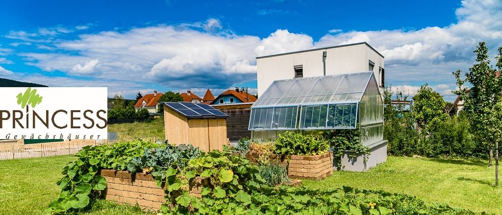 Ein Garten mit einem Glasgewächshaus, Solarpanelen und verschiedenen Pflanzen. Es ist sonnig mit einem klaren blauen Himmel.