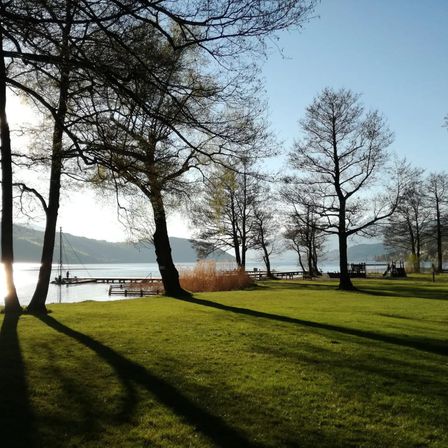 Bild enthält, Grass, Nature, Outdoors, Park, Scenery, Vegetation, Landscape, Grove, Tree, Waterfront