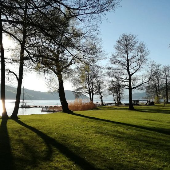 Bild enthält, Grass, Nature, Outdoors, Park, Scenery, Vegetation, Landscape, Grove, Tree, Waterfront