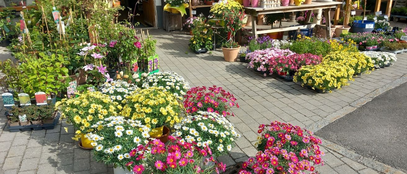 Ein farbenfroher Außenblumenladen mit vielen Topfpflanzen und Blumen in verschiedenen Farben. Der Laden hat einen gefliesten Boden und einen Holztisch mit verschiedenen Topfpflanzen.