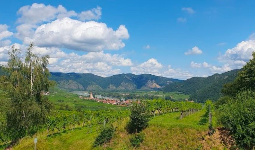 Ein Tal mit grünen Weinbergen unter einem blauen Himmel mit verstreuten Wolken und Bergen in der Ferne.