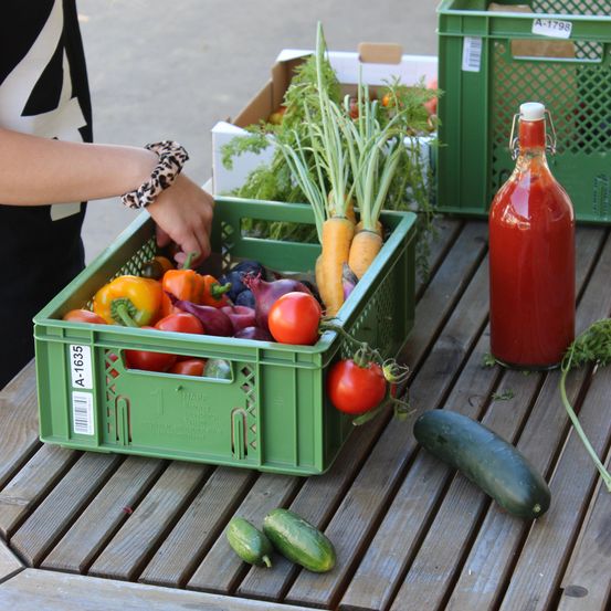 Bild enthält, Food, Produce, Squash, Vegetable, Adult, Female, Person, Woman, Box, Zucchini
