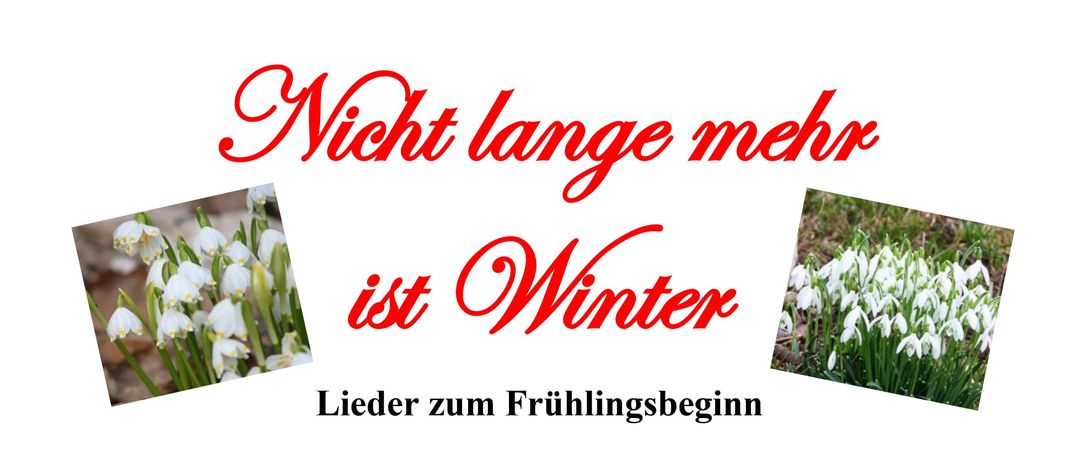 Werbeplakat für eine Veranstaltung im Wohnzimmer in Leibniz, Grazergasse 2. Es zeigt zwei Bilder von Schneeglöckchen, den Titel 'Nicht lange mehr ist Winter' und Symbole einer Akkordeon und einer Gitarre. Es enthält Informationen über eine Gesangsveranstaltung mit Siegfried Bauer am Akkordeon und Helmut Schweizer an der Gitarre. Datum: Mittwoch, 18. Januar 2026, von 10 bis 11 Uhr.