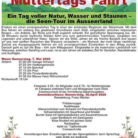 Plakat für eine Muttertagsfahrt, das eine Landschaft und Blumen zeigt. Es enthält Details zu einem Tagesausflug in der Steiermark, Österreich, mit einer Bustour, Mittagessen und Rückfahrtszeit. Es listet auch die Preise und Essensangebote auf.