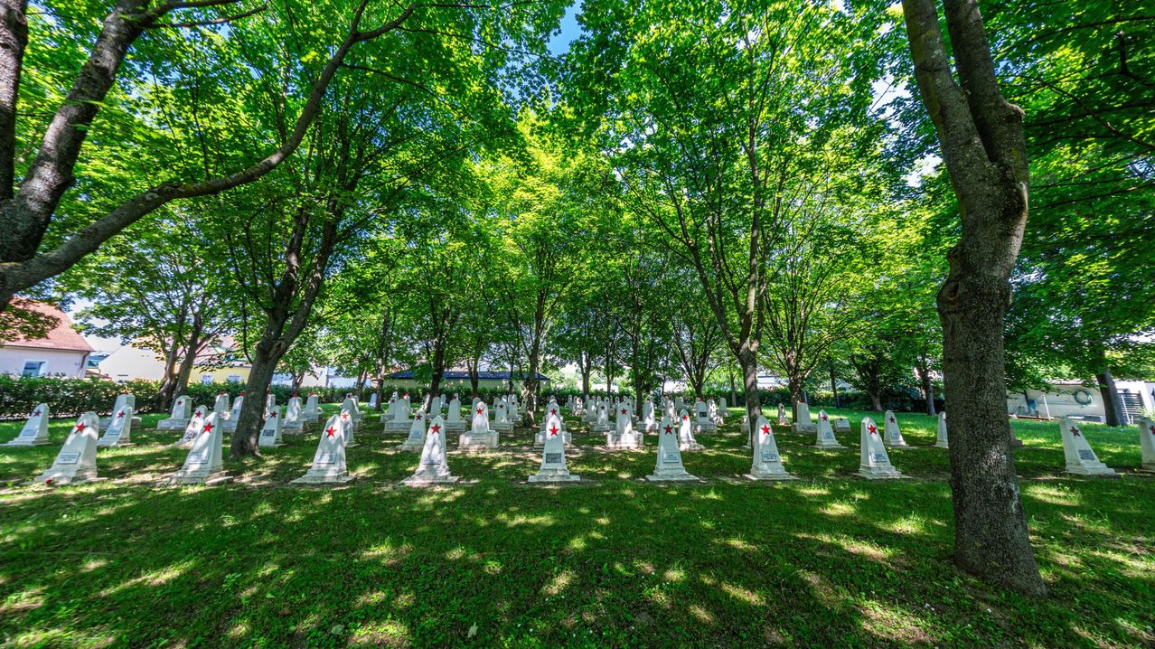 Bild enthält, Grass, Outdoors, Nature, Park, Graveyard, Tree, Vegetation, Grove, Scenery, Person