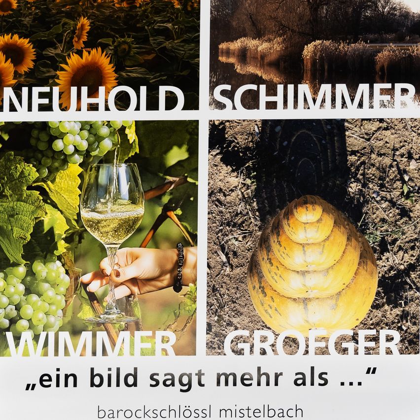 A collage with four images: sunflowers, grapes, a wine glass, and a yellow object in the ground. The text reads 'Neuhold Schimmer Wimmer Groeger'. A quote 'a picture says more than' is also present.