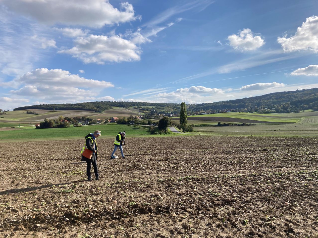 Two individuals, likely farmers, are standing in a field, wearing safety vests. They seem to be discussing something while standing near a tree. The field is covered with soil and small plants. In the distance, there is a road with trees and a house. The sky is clear with some clouds.