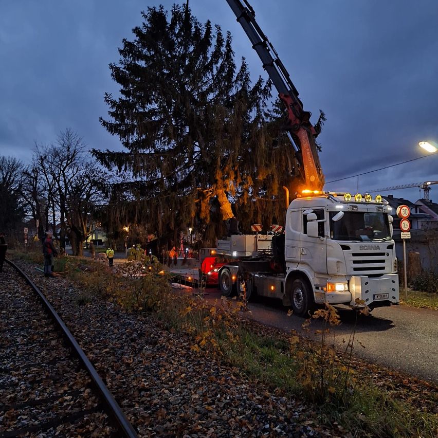A crane lifts a large tree next to a railway track, with several workers and safety signs. The scene is illuminated by vehicle lights at dusk.
