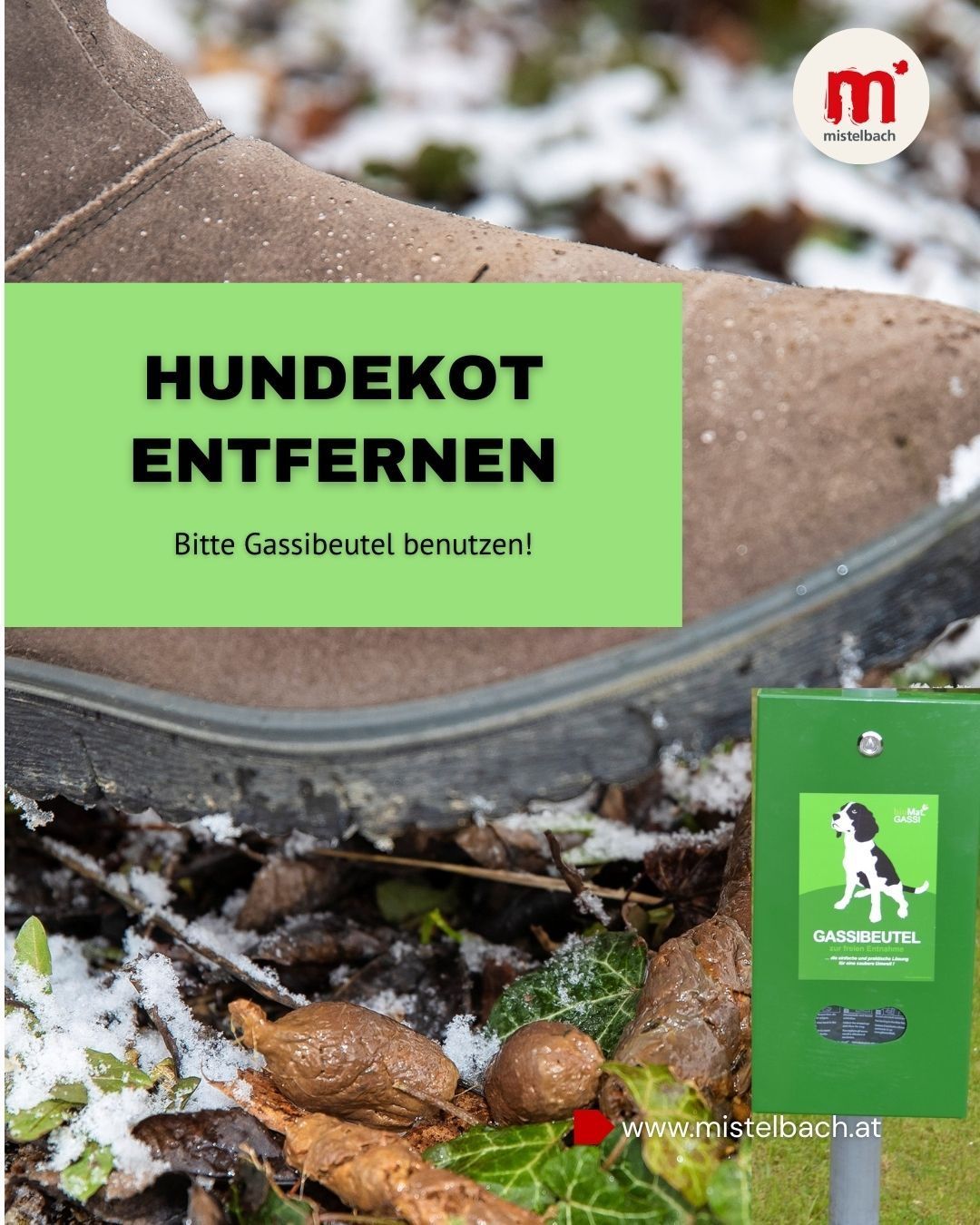 Ein Bild zeigt einen braunen Stiefel, der mit Schnee bedeckt ist, und einem grünen Schild mit der Aufschrift 'HUNDEKOT ENTFERNEN' und 'Bitte Gassibeutel benutzen!' Ein grüner Behälter mit einem Hundebild befindet sich in der Nähe.