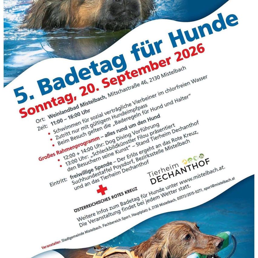 Plakat für den 5. Badetag für Hunde am 20. September 2026 in Mistelbach. Das Plakat zeigt einen Hund, der im Wasser schwimmt, mit Informationen zum Zeitplan, Aktivitäten und Ort der Veranstaltung.
