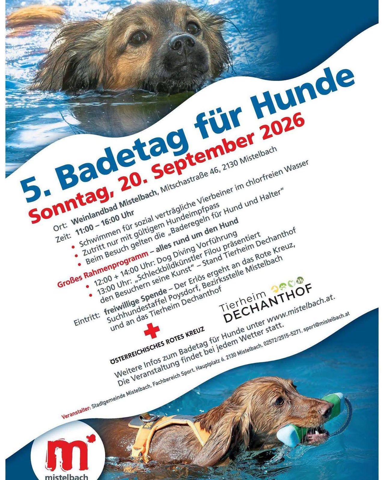 Plakat für den 5. Badetag für Hunde am 20. September 2026 mit einem Hund, der im Wasser schwimmt und ein grünes Objekt im Maul hat. Das Plakat enthält Details zur Veranstaltung, einschließlich Ort, Zeit und Aktivitäten.