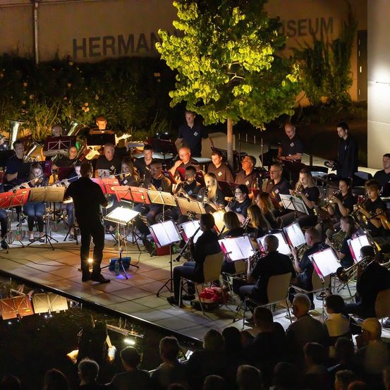 Bild enthält, Group Performance, Music Band, Musician, Performer, Person, Concert, Indoors, Adult, Male, Man