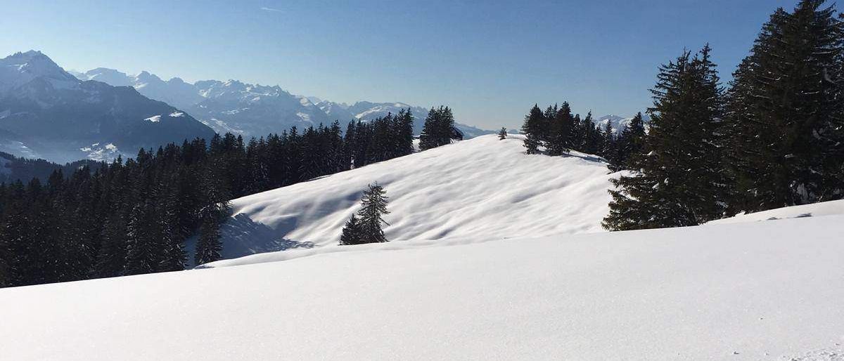 Bild enthält, Slope, Tree, Fir, Vegetation, Nature, Outdoors, Scenery, Peak, Woodland, Sky