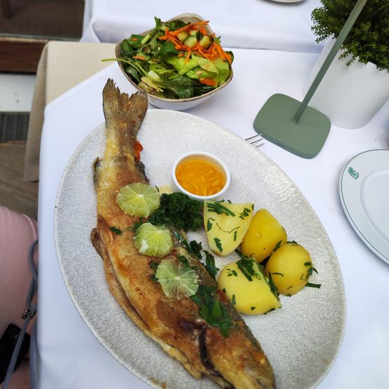 Ein ganzer Fisch auf einem Teller mit Zitronenscheiben, Petersilie und Kartoffeln. Ein Salatschüssel und eine Topfpflanze sind ebenfalls vorhanden.