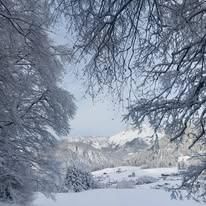 Eine verschneite Landschaft mit kahlen Bäumen, klarem Himmel und Bergen in der Ferne. Schnee bedeckt den Boden und einige Gebäude sind sichtbar.