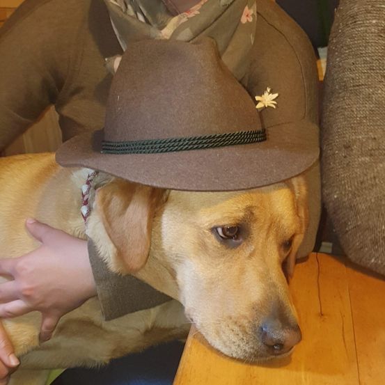 Eine Person in einer braunen Jacke und Hut hält einen hellbraunen Hund, der auf einem Holztisch sitzt.